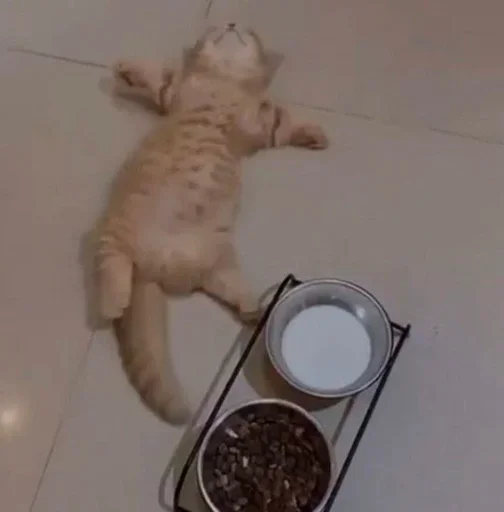 Sticker dwcSfjl_by_achestickbot - 1