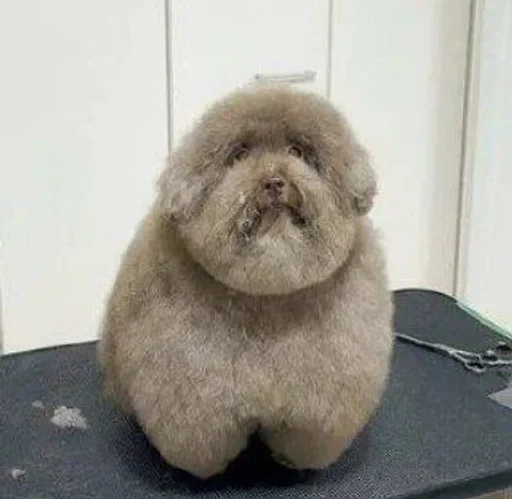 Sticker dwcSfjl_by_achestickbot - 1