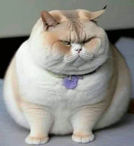 Стикер dwcSfjl_by_achestickbot - 1