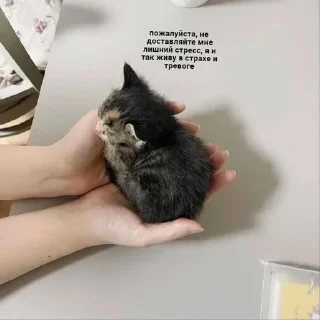 Sticker Больше стиков тут: @stikery4 - 5