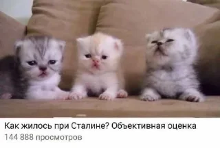 Sticker Больше стиков тут: @stikery4 - 11