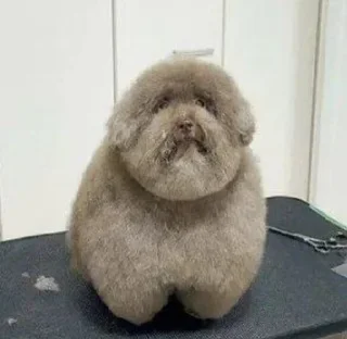 Sticker Больше стиков тут: @stikery4 - 2