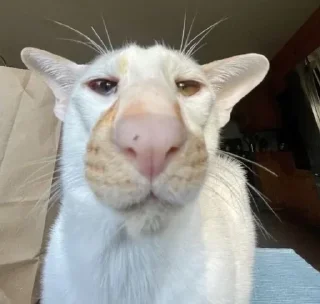 Sticker Больше стиков тут: @stikery4 - 9