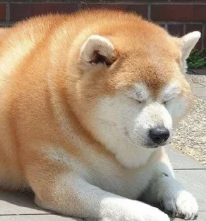 Sticker Больше стиков тут: @stikery4 - 4