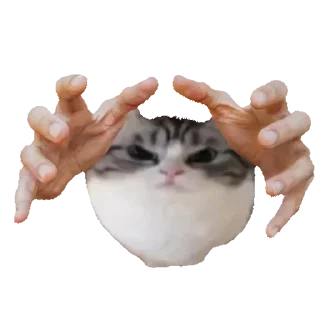 Стикер Больше стикеров 👉🏻 @stickertg4 - 1