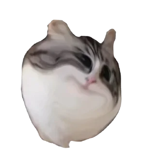 Стикер Больше стикеров 👉🏻 @stickertg4 - 2