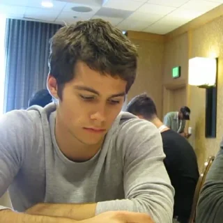 Sticker Dylan O'brien @BangMyBox - 3