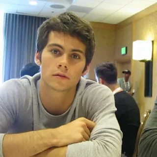 Sticker Dylan O'brien @BangMyBox - 0