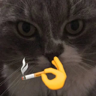 Стикер Димок - 11