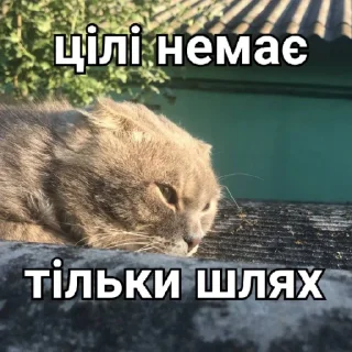 Стикер Димок - 4