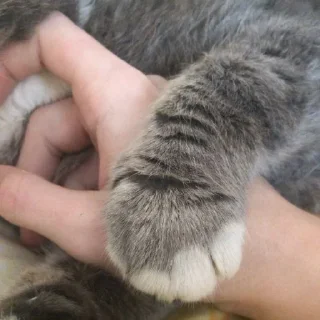 Стикер Димок - 6