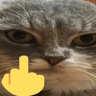 Стикер Димок - 0