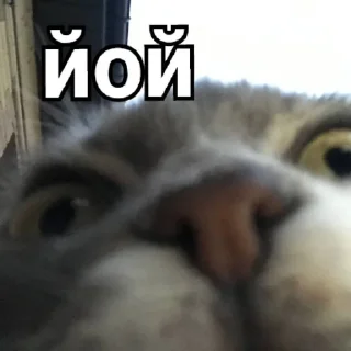 Стикер Димок - 3