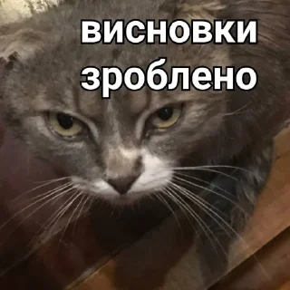 Стикер Димок - 1