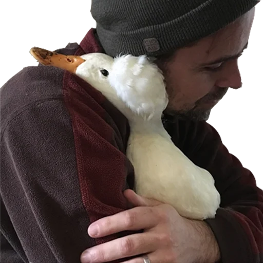 Человек птица водная птица