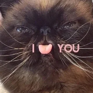 Sticker Больше @sbornik_stickers - 4