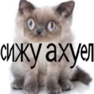 Sticker Больше @sbornik_stickers - 2