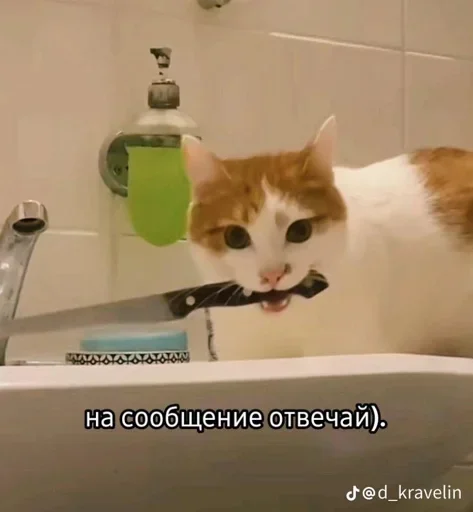 Sticker dzNiIWR_by_achestickbot - 1