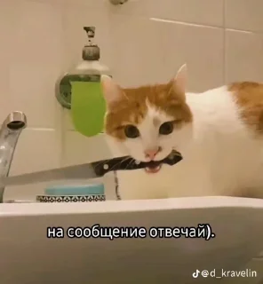 Sticker Больше стиков тут: @stikery4 - 6