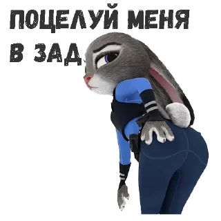 Sticker JudyHops @stickersb2b - 9