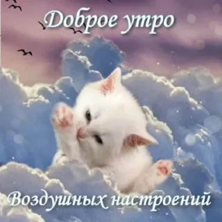 Стикер VoyageSymphony - 10