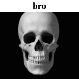 Стикер VoyageSymphony - 2