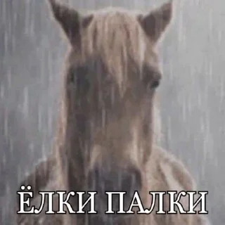 Стикер VoyageSymphony - 5