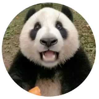 Стикер VoyageSymphony - 9