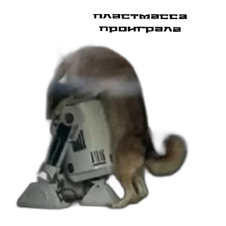 Sticker Плкаши - 10