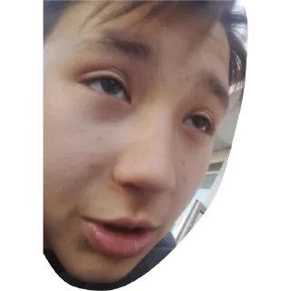 Sticker Плкаши - 8