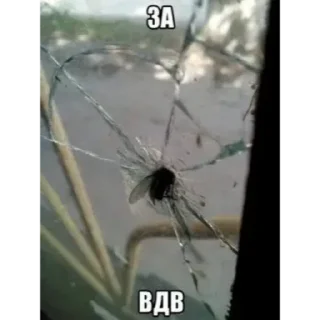 Sticker Плкаши - 6