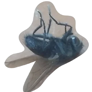 Стикер негры - 4