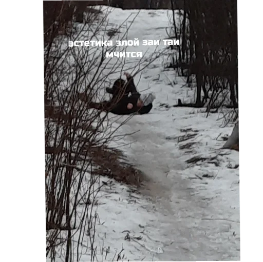 Стикер злые заи  <3 - 2