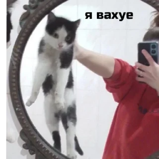 Стикер 🖤 - 9