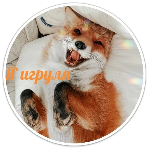 Sticker e5965749_e5e1_447c_98ff_cbdc4bc4980e_by_sticat_bot - 1