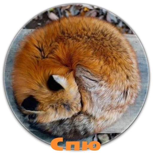 Sticker e5965749_e5e1_447c_98ff_cbdc4bc4980e_by_sticat_bot - 1