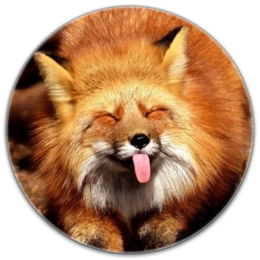 Sticker e5965749_e5e1_447c_98ff_cbdc4bc4980e_by_sticat_bot - 1