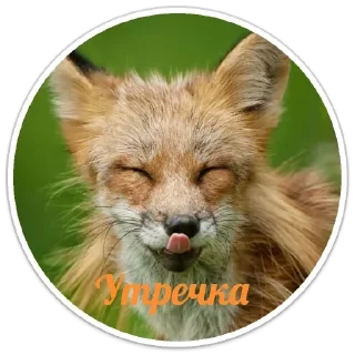 Стикер Стикерпак LiSки - 11