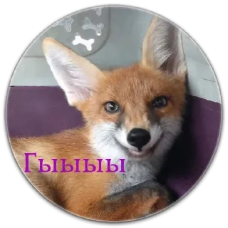 Стикер Стикерпак LiSки - 7