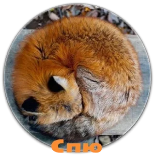 Стикер Стикерпак LiSки - 9