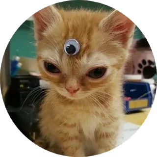 Sticker для особо важных - 1