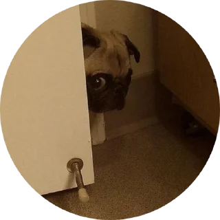 Sticker для особо важных - 5