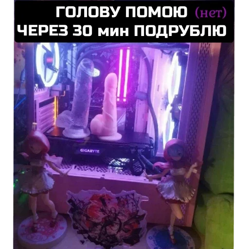 СМС скриншот комнатный