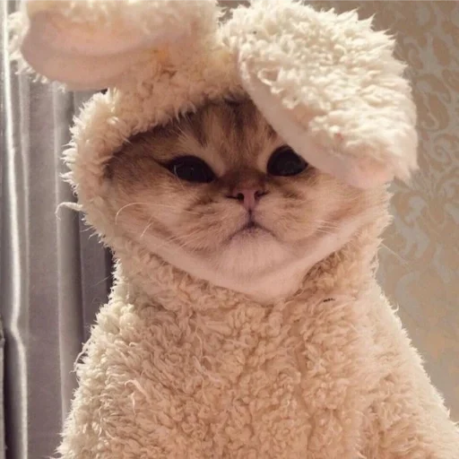 Sticker e6870455_3146_40d4_85e3_fb4d94afb470_by_sticat_bot - 1