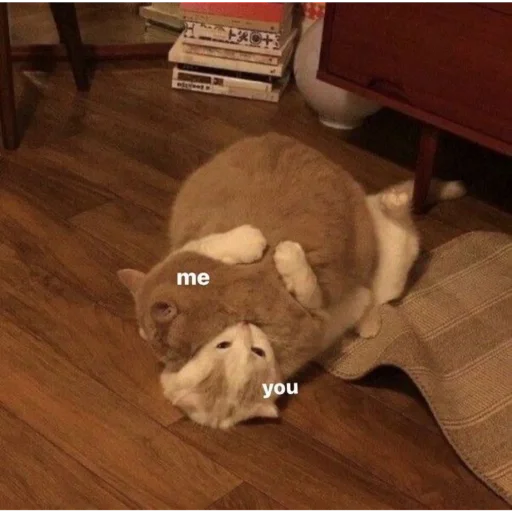 Sticker e6870455_3146_40d4_85e3_fb4d94afb470_by_sticat_bot - 1