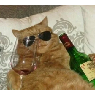 Стикер ♡котёночки♡ - 5