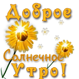 Sticker маргарита м - 11