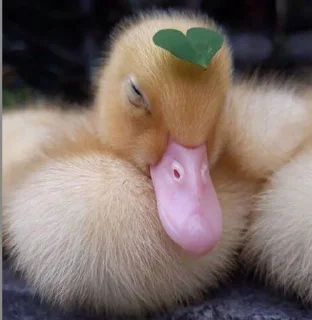 Sticker Создать стикеры|@EmojiRuBot - 7