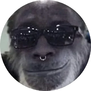 Стикер пон - 4