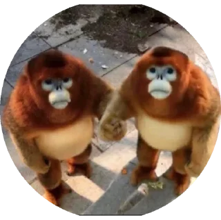 Стикер пон - 1